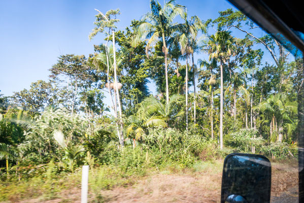 Auf dem Weg zum Eungella National Park 