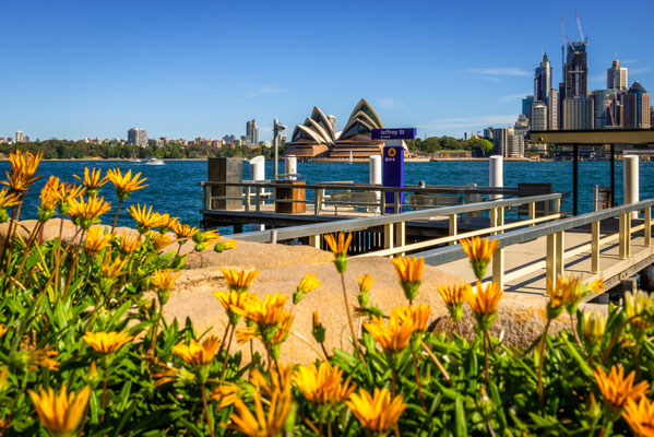 Kirribilli Boardwalk 