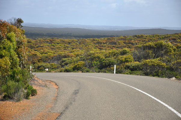 Unterwegs auf Kangaroo Island