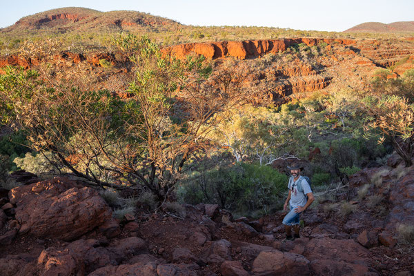 Dales Gorge, Karijini Nationalpark - Schluchtwanderung am Frühen Morgen - Abstieg in die Schlucht