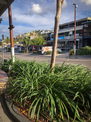 Airlie Beach