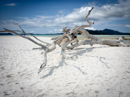 Hill Inlet - Whitehaven Beach