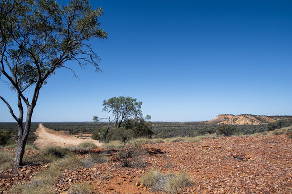 unterwegs auf der 'Winton Jundah Road' - Mount Jumpup