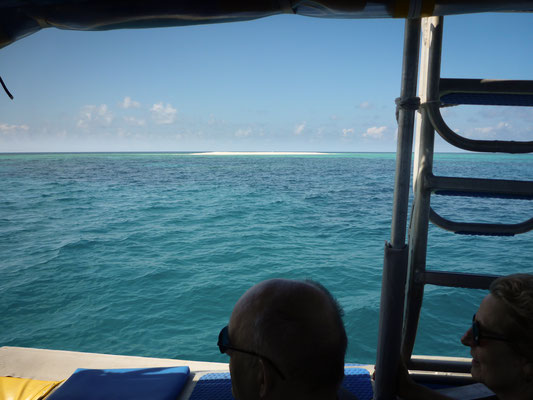 Schnorchel-Tour - das Mackay Reef mit seiner Sandinsel