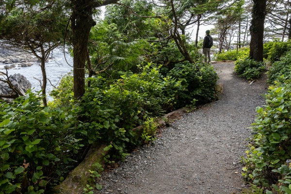 Ucluelet - Wild Pacific Trail