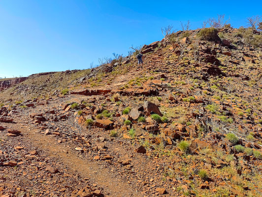 Wanderung Mount Bruce, Karijini National Park 