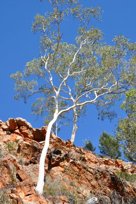 Wanderung Stanley Chasm