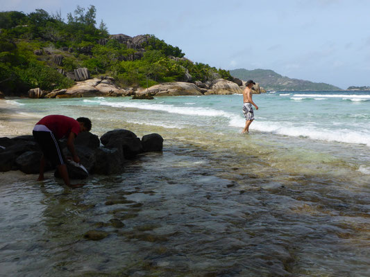 Big Sister Island