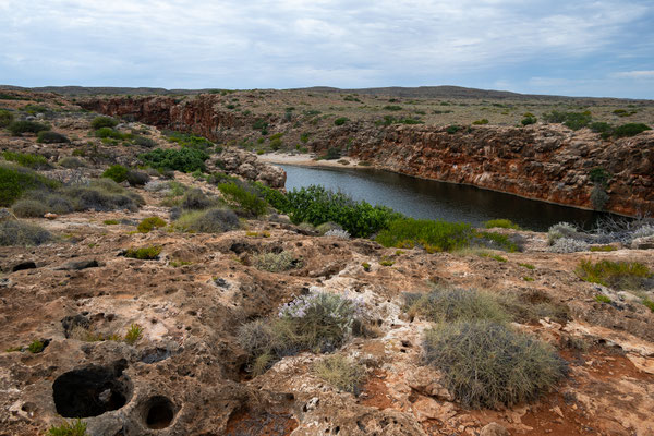 Cape Range Nationalpark - Yardie Creek