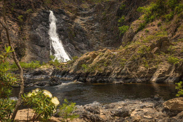 Wujal Wujal Falls