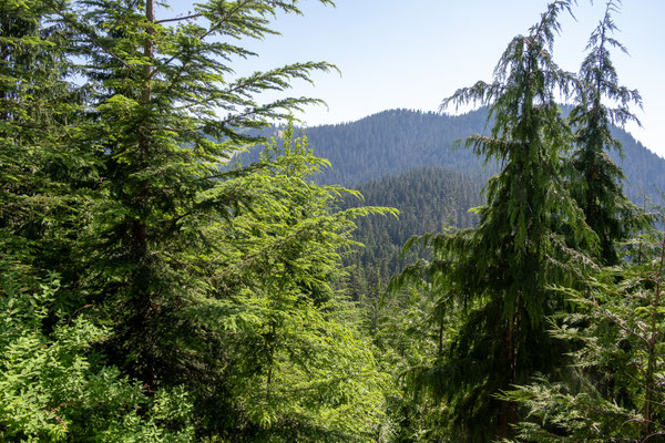 Cypress Provincial Park