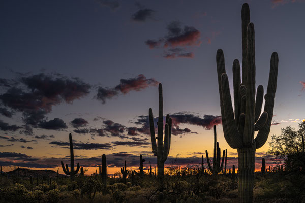 Sabino Canyon - Sunset