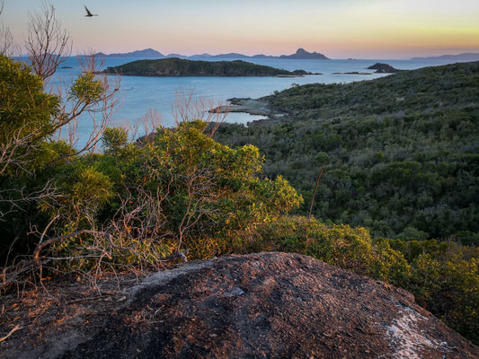 Der Lookout auf Whitehaven Beach