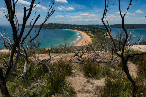 Beim Barrenjoey Liththouse - Aussicht auf Palm Beach