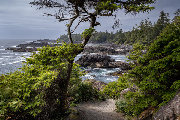 Ucluelet - Wild Pacific Trail