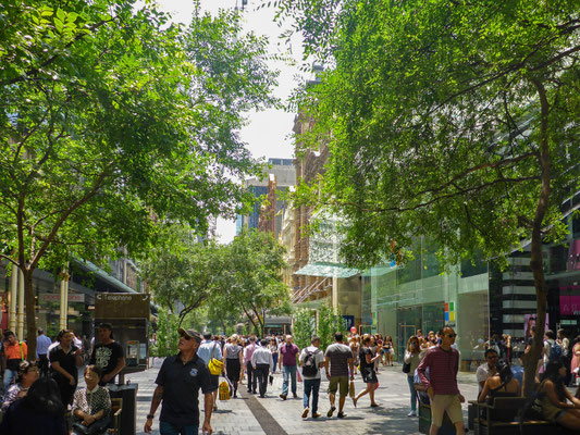 Pitt Street