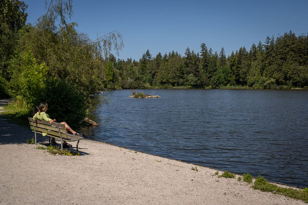 Seawall Velotour - Lost Lagoon, Stanley Park