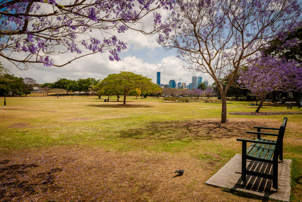 New Fam Park - Skyline von Brisbane