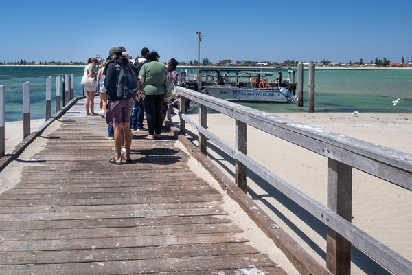 Penguin Island, Rockingham - vor der Rückfahrt mit der Fähre