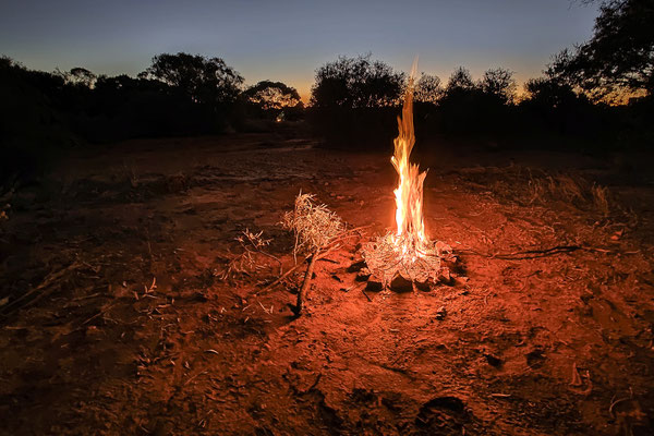 Opalton Bush Park - Campfire