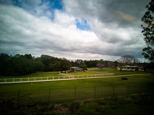 Fahrt im Nambour Train 