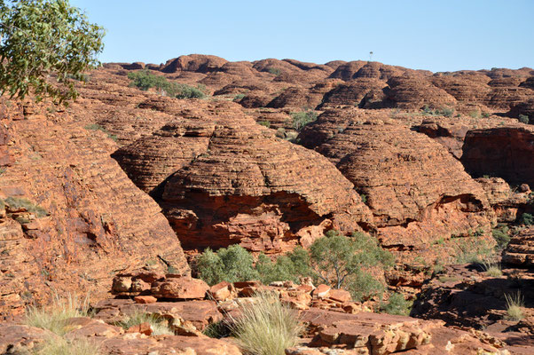 Kings Canyon Rim Walk