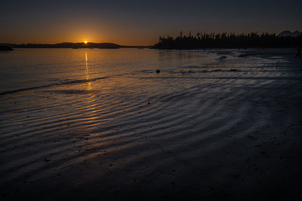 Tofino - MacKenzie Beach