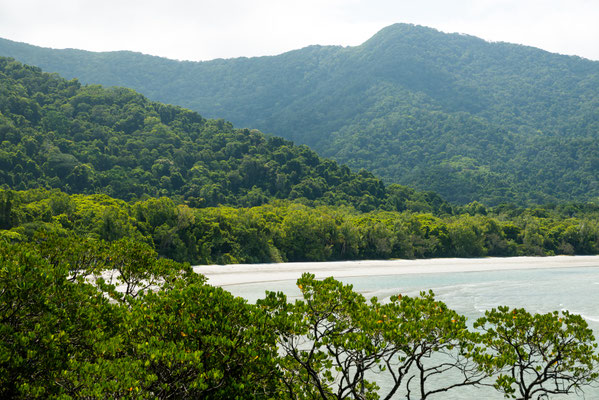 Cape Tribulation Beach