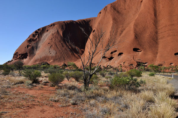 mit dem Auto um den Uluru