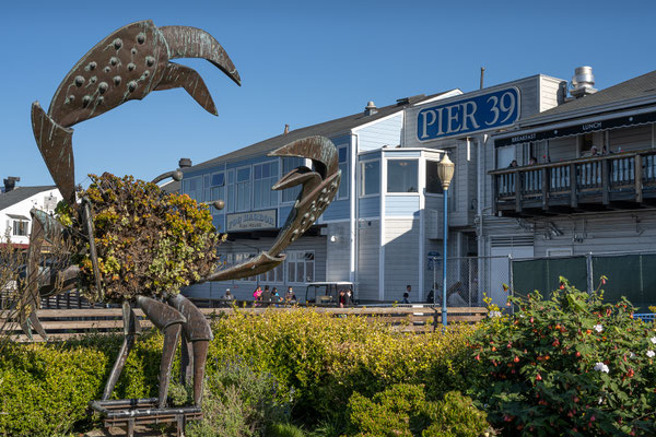 Fisherman's Wharf, San Francisco - Pier 39