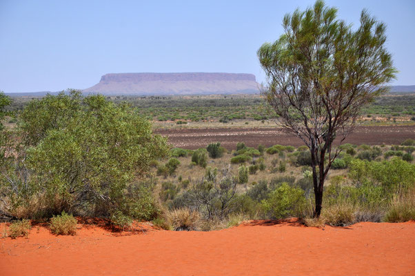 Unterwegs Richtung Uluru - Mount Connor