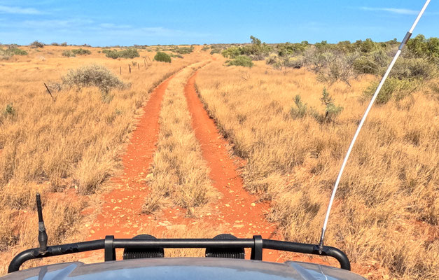 Nyinggulu Coastal Reserve Track
