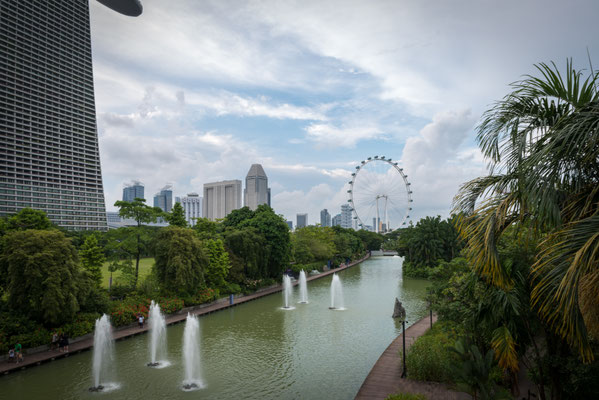 Garden of the Bay - mit Supertrees im Hintergrund