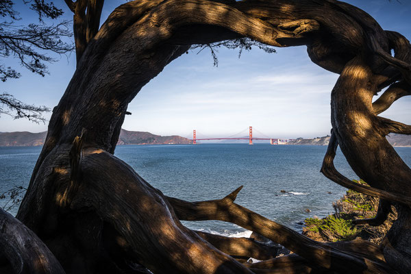 Land's End, San Francisco