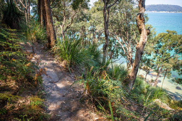 Mackarel Track zum Resolute Beach, Kuring-gai National Park