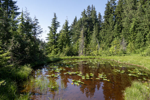 Cypress Provincial Park