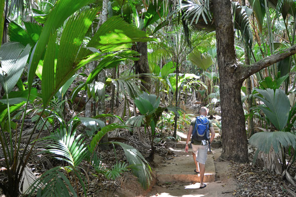 Vallée de Mai