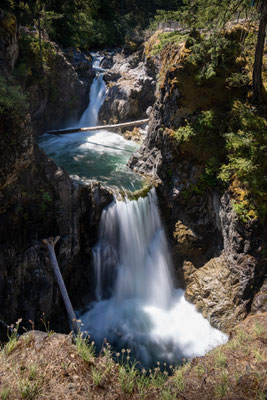 Little Qualicum Falls Provincial Park - Rundwanderung