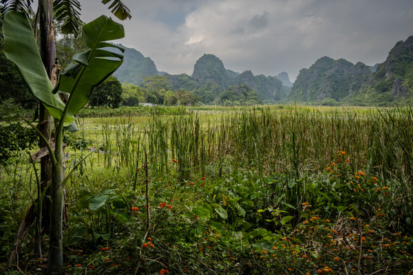 Tam Coc - mit dem Moped unterwegs