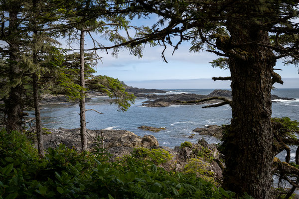 Ucluelet - Wild Pacific Trail