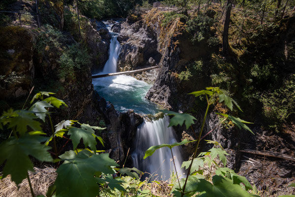 Little Qualicum Falls Provincial Park - Rundwanderung