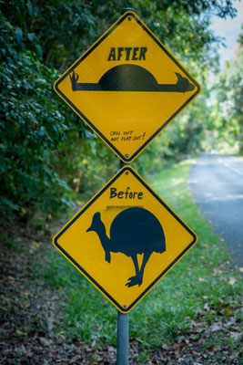 Daintree National Park - Roadsign