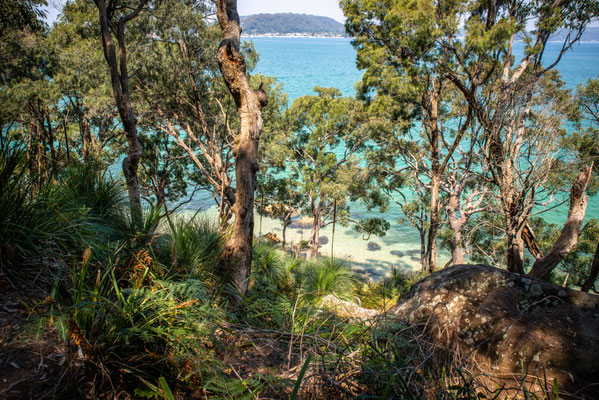 Mackarel Track zum Resolute Beach, Kuring-gai National Park