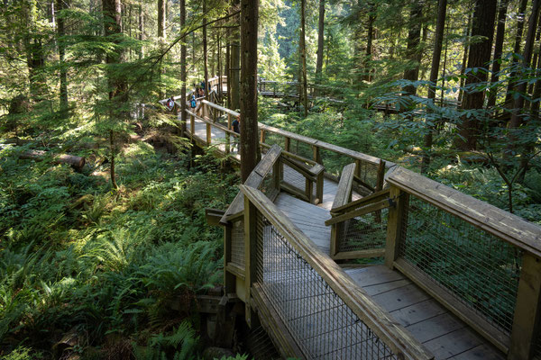 Capilano Suspension Bridge Park 
