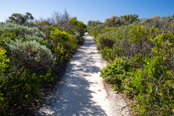 Cape Naturaliste Walk
