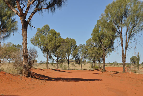 Track zum Rainbow Valley