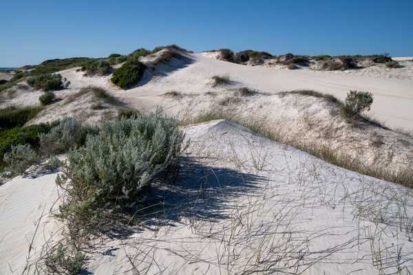 Lancelin Sand Dunes, Lancelin 