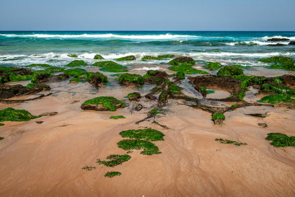 Avalon Beach