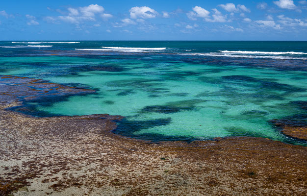 Green Head - Point Louise Lookout