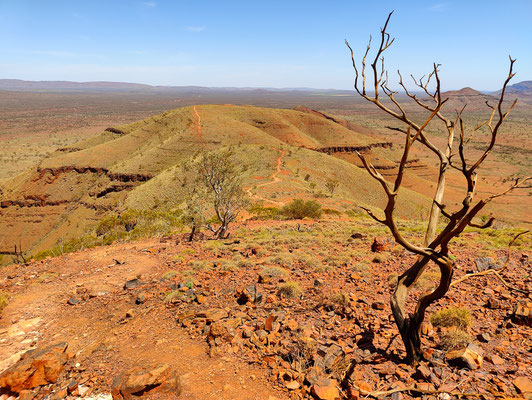 Wanderung Mount Bruce, Karijini National Park 